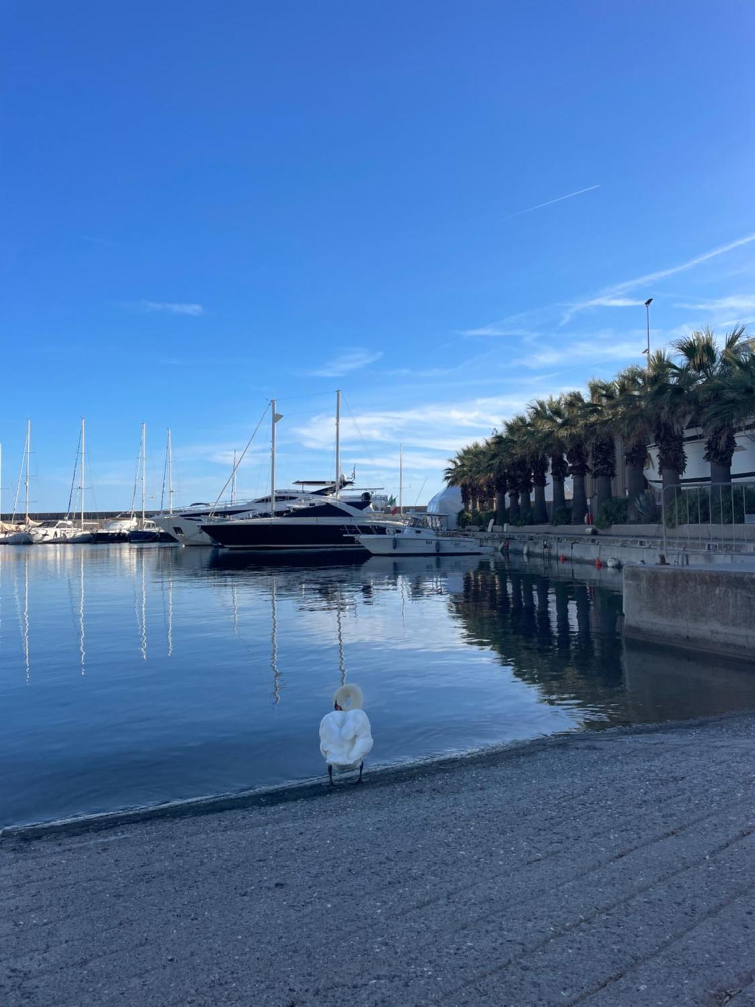 Bistrot Del Mare Apartment Santo Stefano al Mare Bagian luar foto